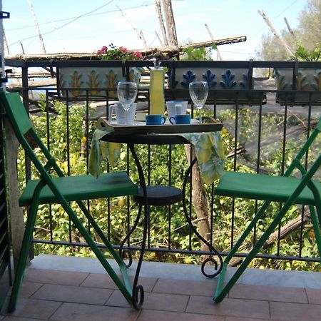 Sorrento Studios Lemons Hill Bilik gambar