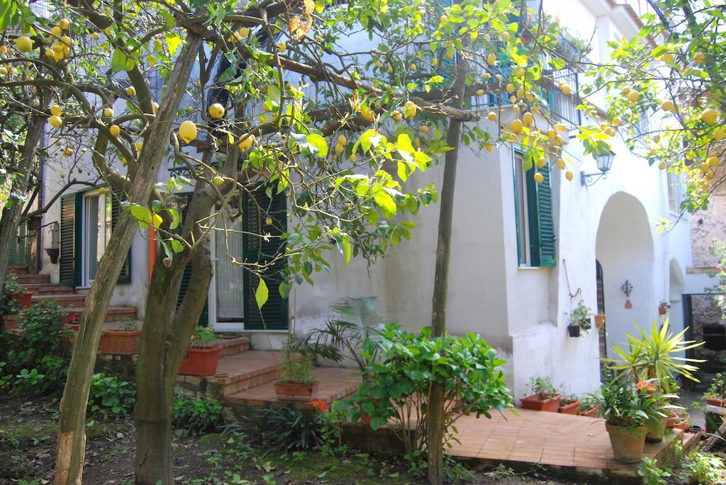 Sorrento Studios Lemons Hill Bilik gambar