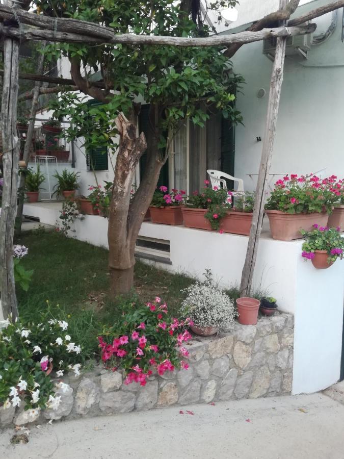 Sorrento Studios Lemons Hill Luaran gambar