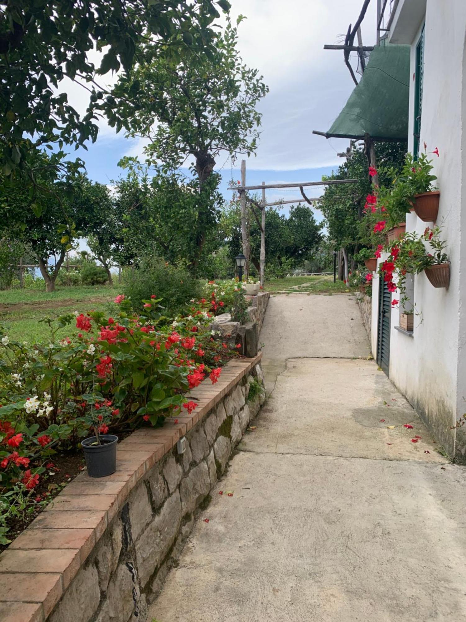 Sorrento Studios Lemons Hill Luaran gambar