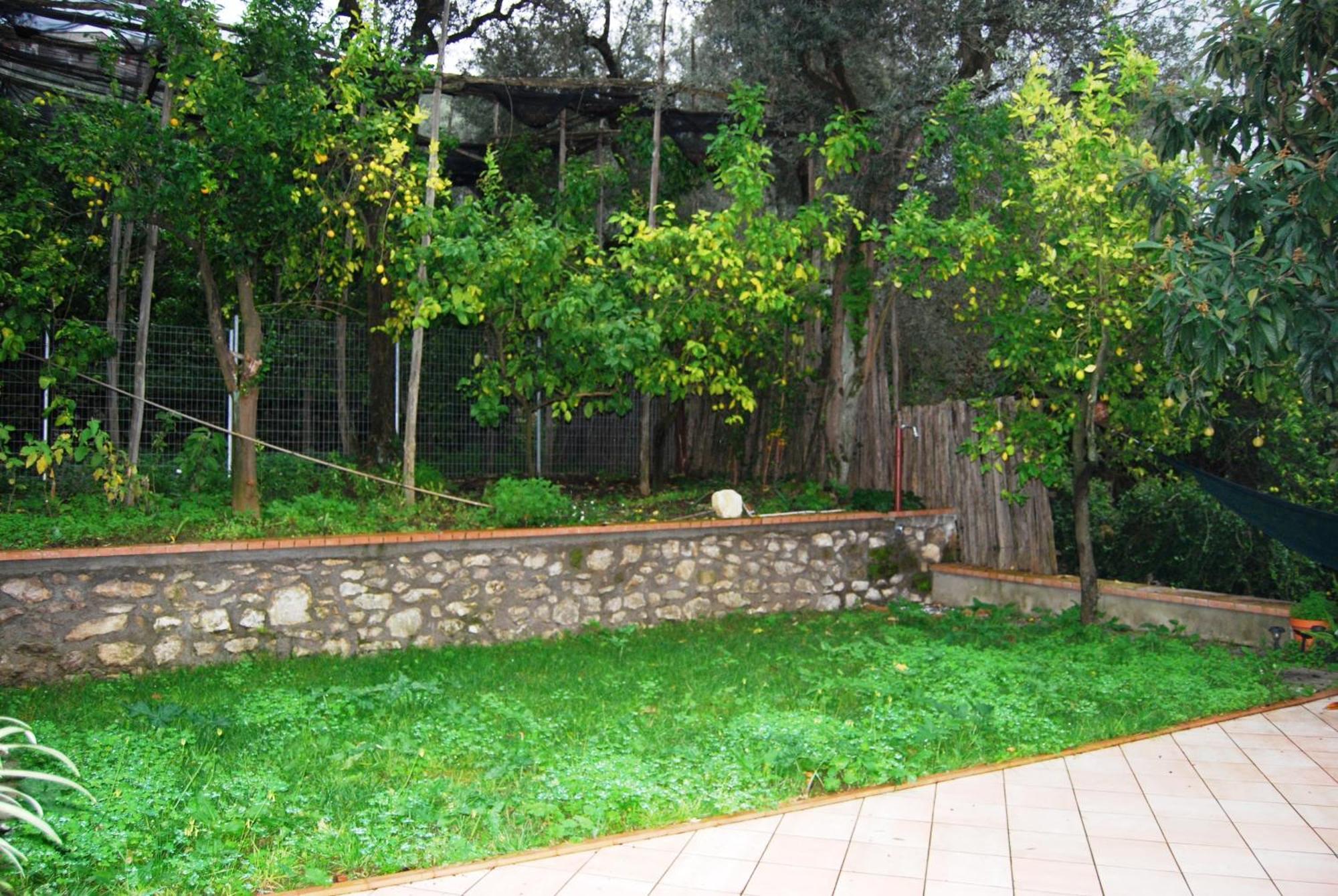 Sorrento Studios Lemons Hill Bilik gambar