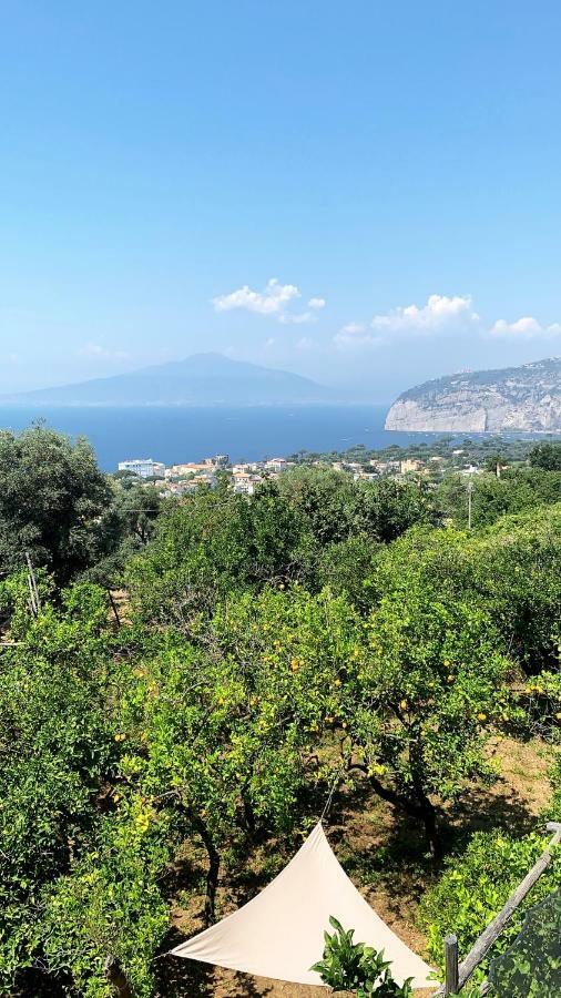 Sorrento Studios Lemons Hill Luaran gambar