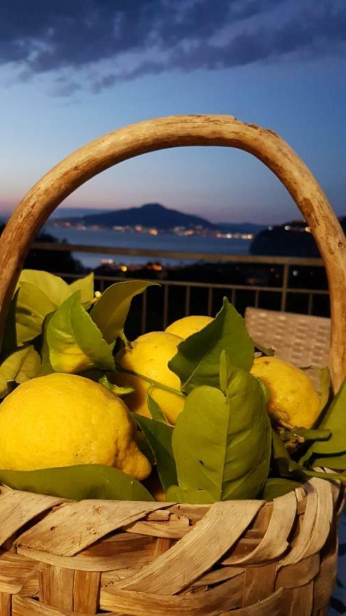 Sorrento Studios Lemons Hill Luaran gambar