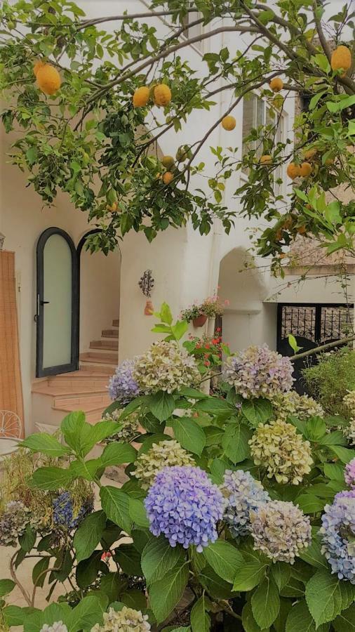 Sorrento Studios Lemons Hill Luaran gambar