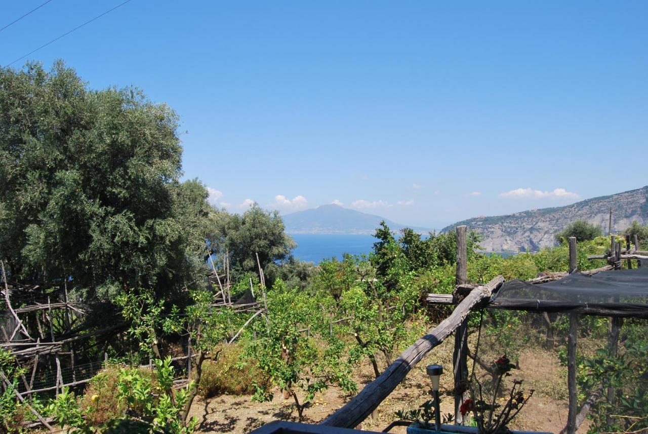 Sorrento Studios Lemons Hill Luaran gambar